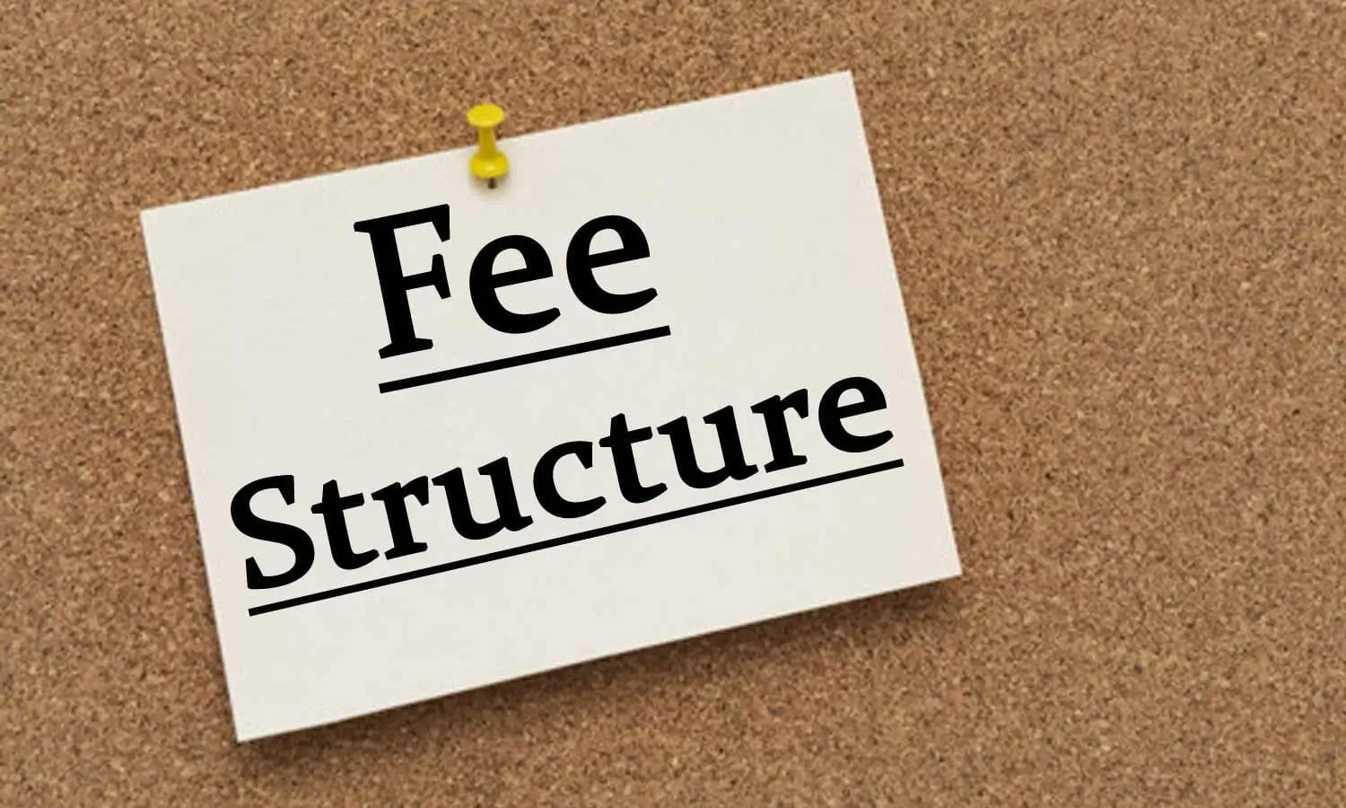 fees international