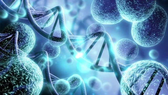 Online Biology Tuition Coaching Classes For Grade 11 CBSE