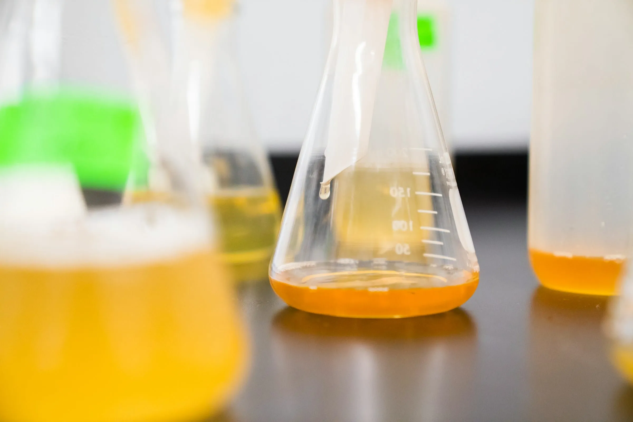 cbse online class 6 science